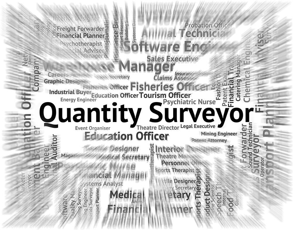 what is quantity surveying all about
